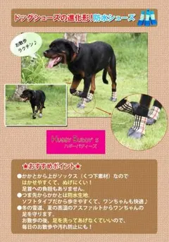 防水犬用靴・靴下（チェック柄） 1足分4個セット　　　サイズ/全４サイズS-XL
