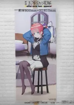少女時代 ユナ 【等身大】布製タペストリー 長さ1.64m レア商品【ラスト１】 少女時代 ユナ 【等身大】布製タペストリー 長さ1.64m レア商品