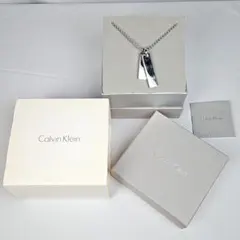 カルバンクライン ck ダブルプレート ネックレス シルバー 箱付のサムネイル