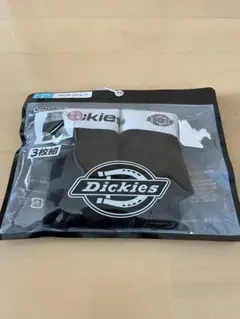 ディッキーズ　スタンダードショーツ　2枚