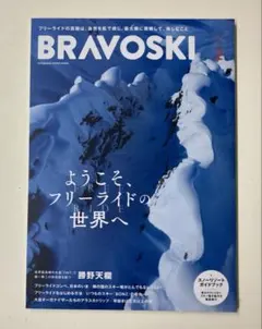 BRAVOSKI 2025 WINTER VOL2