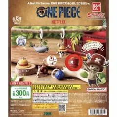 A Netflix Series: ONE PIECE めじるしアクセサリー