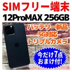 2025年最新】iphone 12 pro max 256gb simフリーの人気アイテム