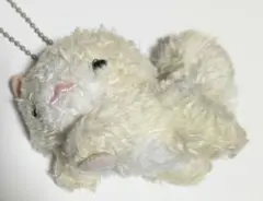 ゆりゆり様専用 靴下にゃんこ ノルッチ　マスコットキーチェーン