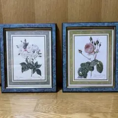ピエール・ジョセフ ・ルドゥーテ 花柄 版画 絵画 2セット