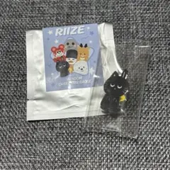 RIIZE RPG ウォンビン トニャンドク ラントイ ランダムトイ ペンミ