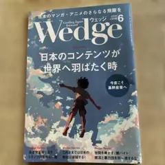 wedge2025.6