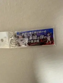 ヤクルトスワローズ 　応援歌キーホルダー　長岡秀樹　7
