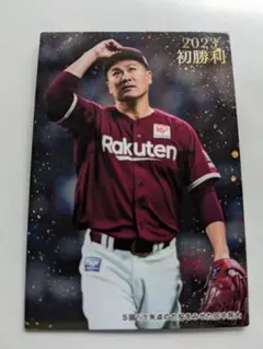 プロ野球チップス オーナーズリーグ 田中 岩隈セット Amazon.co.jp: 【プロ野球オーナーズリーグ】中田賢一 中日