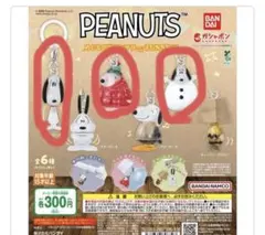 PEANUTS めじるしアクセサリー FUNNY ver.