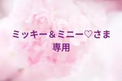 ミッキー＆ミニー♡さま　専用