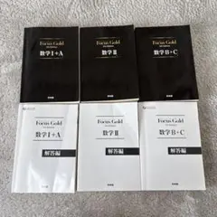 Focus Gold 数学参考書セット