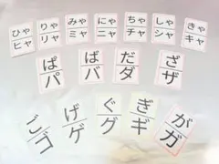 ひらがなカード 濁音・拗音　58枚　幼児～小学生　パソコン教育にも使用可