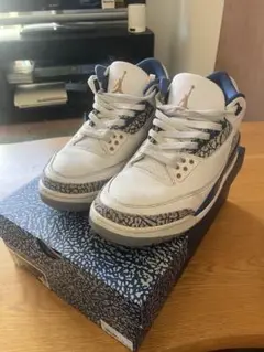 27.5AirJordan3TrueBlueandCopperジョーダン3レトロ JORDAN BRAND AIR JORDAN 3 RETRO GS WHITE/METALLIC COPPER
