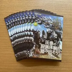 匿名発送！PS5 モンスターハンターワイルズ　カタログ　冊子　11冊セット　新品