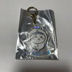 ナガノマーケットホログラムアクリルキーホルダーハチワレ新品未使用