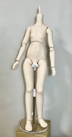 MDDボディ　セミホワイト　難あり　グーハンド