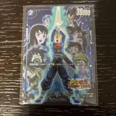 ★ドラゴンボール　トランクス：未来 R ★ FB05 FB01-049 パラレル