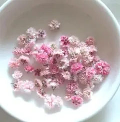 No,294かすみ草のドライフラワー