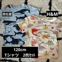 ★クジラと恐竜柄Tシャツ2枚セット 120cm★