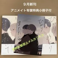 ひかりめぐりまたたいて上・下　アニメイトセット　BL新刊