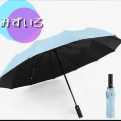 ライトブルー 12骨 晴雨兼用 男女兼用 日傘 雨傘