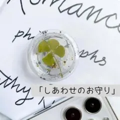 Item thumbnail for item 4e6bb86a-7d8e-406c-a694-c005d4ed80ca