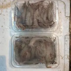 アルファフーズ いわしの煮付け 非常食 50袋 - メルカリ