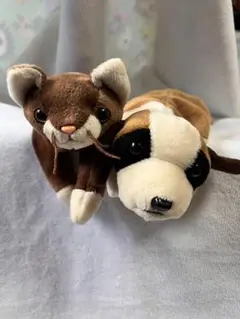 Ty 비니 키즈 봉제인형 2체 세트 개와 고양이