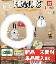 PEANUTS スヌーピー　めじるしアクセサリーFUNNY Ver