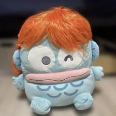 オレンジカツラのサムネイル