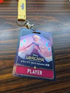 ディズニーロルカナ　GP エントリーパス