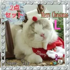 Item thumbnail for item cbb9c841-bcb1-4a08-acac-0aafd6fd4fe9