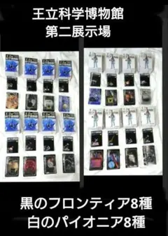 Mizuno モレリア2JAPAN 26.0cm 極⭐︎です。 ZEXUS】2025年NEWアイテム情報！今年の新製品情報を一気に