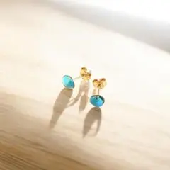 碧の守護 ターコイズピアス