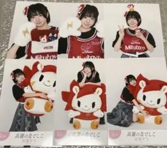 涼海すう 高嶺のなでしこ 生写真コンプ ロウル 川崎ブレイブサンダース バスケ