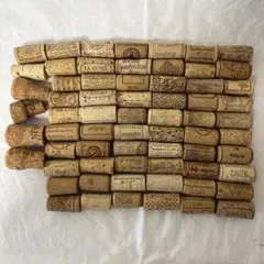 Item thumbnail for item 227b2e17-ac37-49d5-936f-23c9236a144e