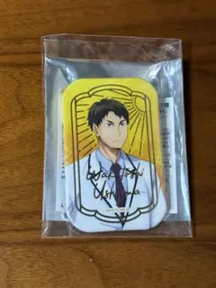 碇シンジ ピンバッジ B 未使用 メルカリ便 - メルカリ