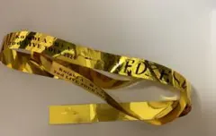 騎士A KnightA EDEN-楽園- 夜公演 銀テープ