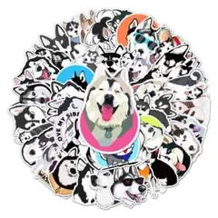 Item thumbnail for item b9cdefec-eb54-4726-b2ce-485d4783cd93