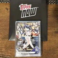 世界1000限定 2022 大谷翔平100号記念 貴重な二刀流フレーム