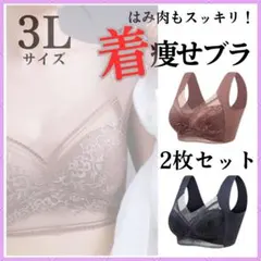 美胸 2枚セットD 3L 胸を小さく見せる 着痩せ シームレス 　2801