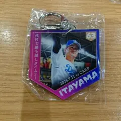 中日ドラゴンズ　ファンフェスタ　2025 ガチャ　 63 板山祐太郎