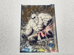 ドラゴンボールダイバーズ APT-020パラレル アドバンスパック40【美品