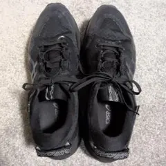 アシックス トレイルランニングシューズ GEL-Trabuco 12 　29cm