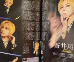 蒼井翔太 1月号 月刊TVガイド 切り抜き 声優 アーティスト