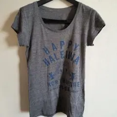 Ｔシャツ　ハレイワのサムネイル