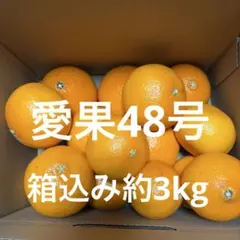 2026年最新紅まどんな みかんの人気アイテム - メルカリ