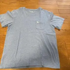 Eddie Bauer ブルーグレー Tシャツ Mサイズ