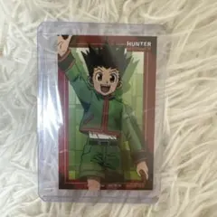 HUNTER×HUNTER ゴン カード アニメイトグラッテ